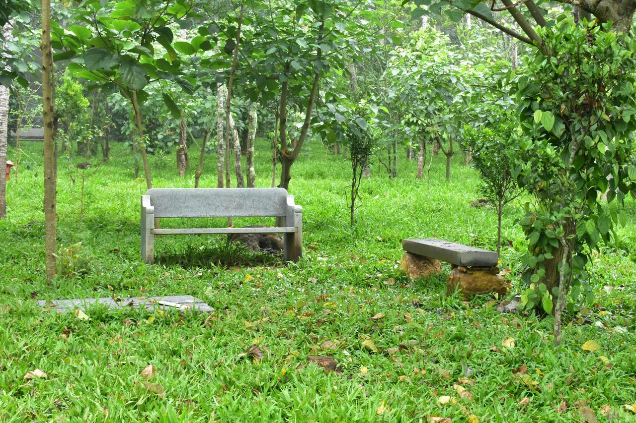 Myst - Yellow Lakes Resorts & Spa Yercaud Buitenkant foto